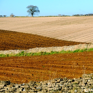 18 - Ploughed fields, Cotswolds